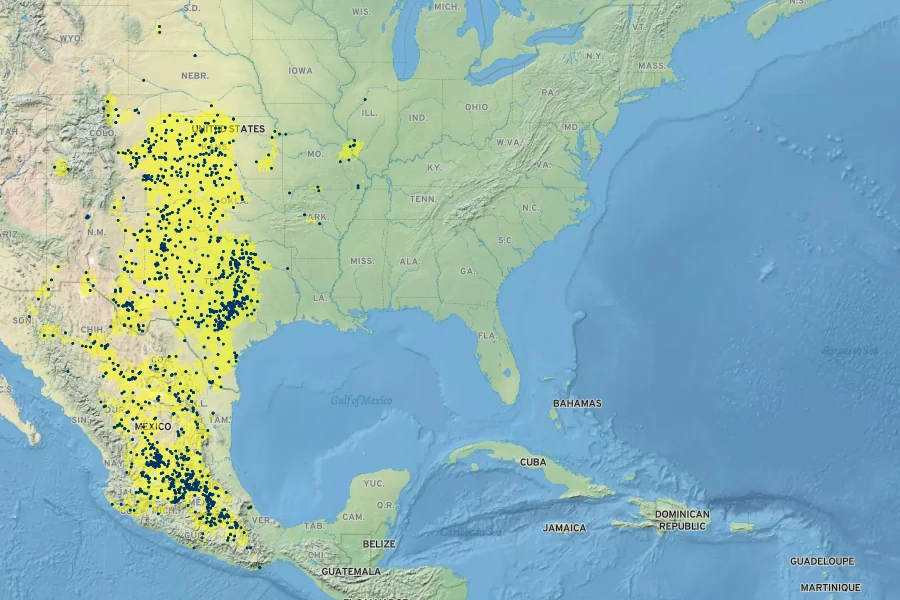 Proboscidea louisianica Native Range