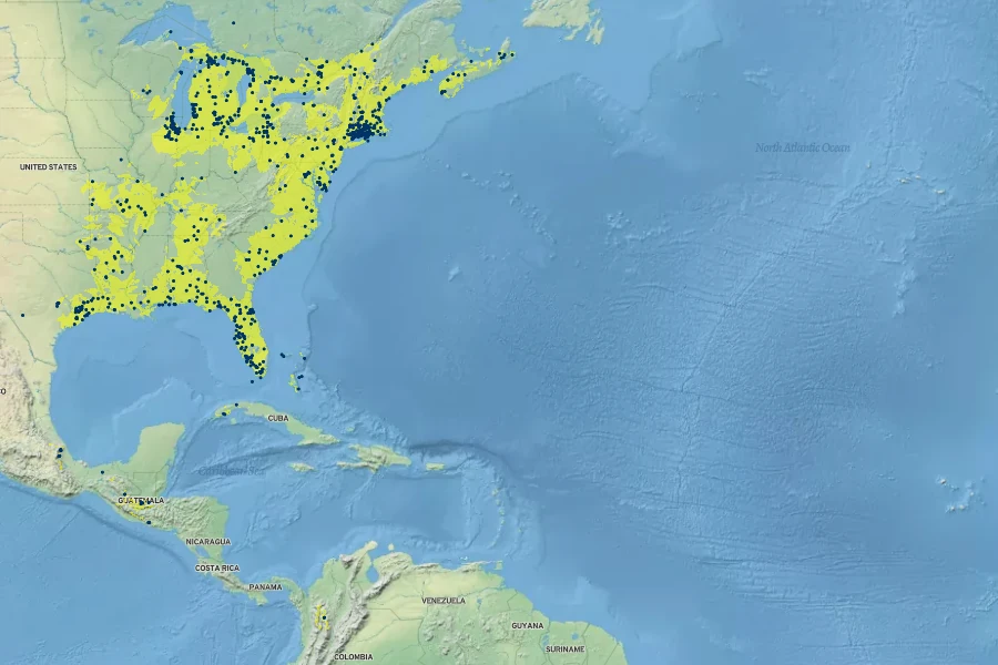 Proserpinaca palustris Native Range