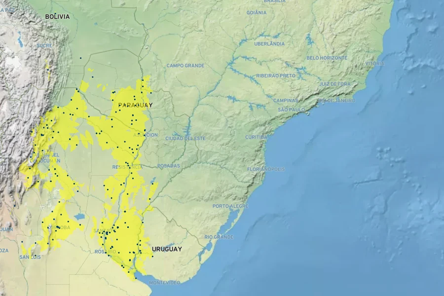 Prosopis nigra Native Range