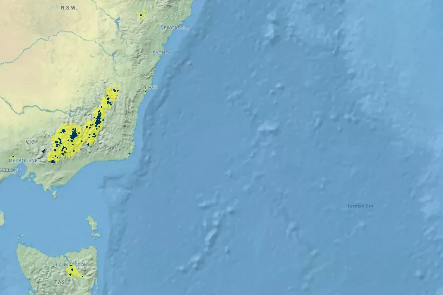 Prostanthera cuneata Native Range