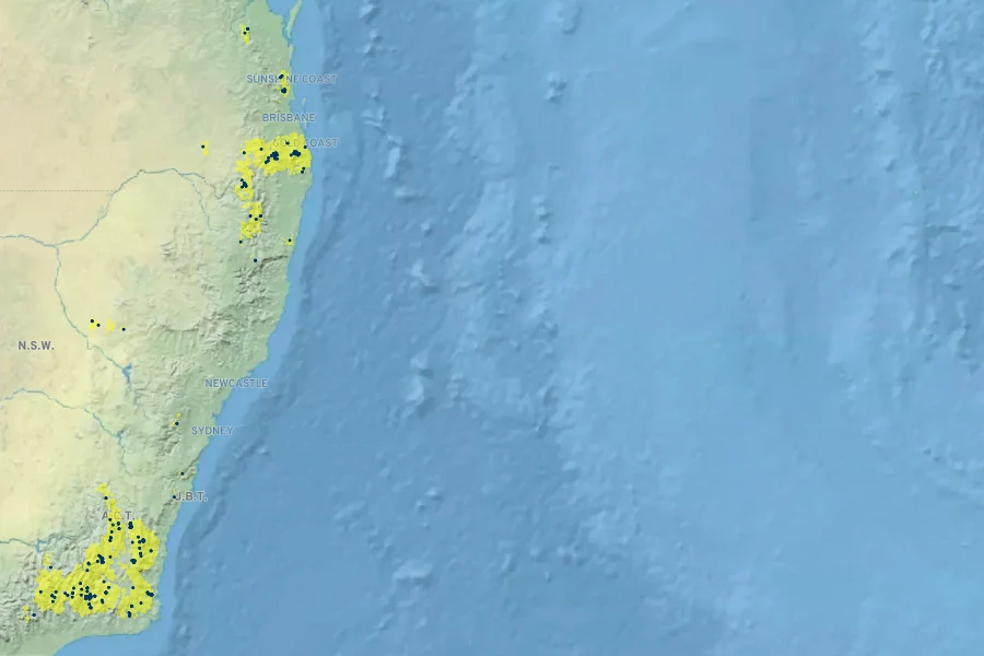 Prostanthera phylicifolia Native Range