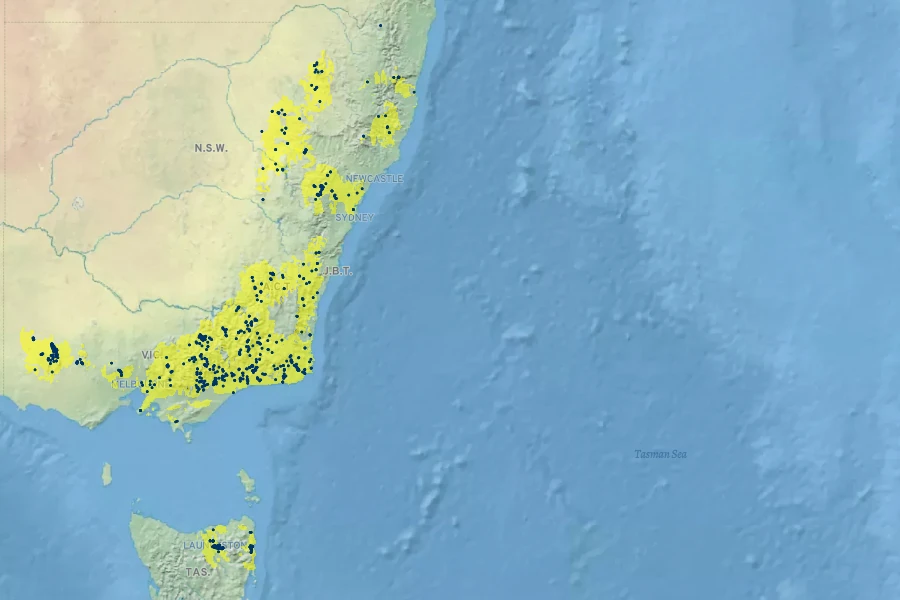 Prostanthera rotundifolia Native Range