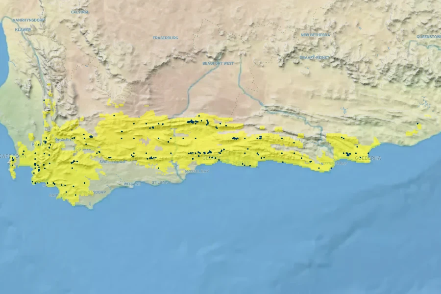 Protea eximia Native Range