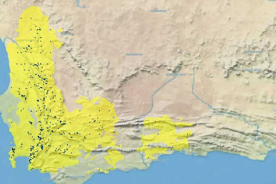 Protea laurifolia Native Range