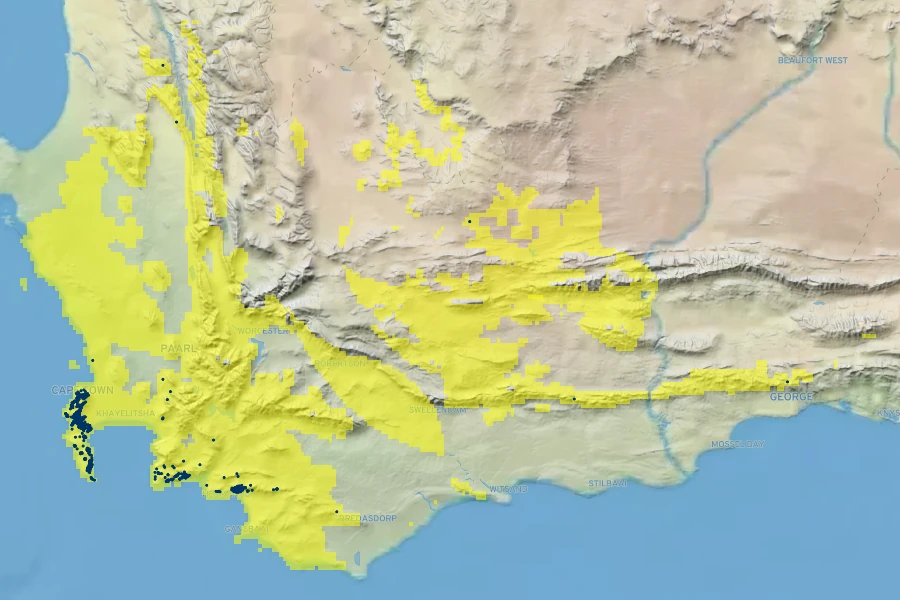 Protea lepidocarpodendron Native Range