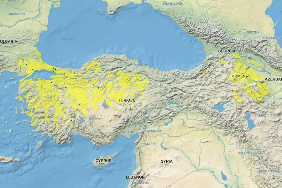 Prunus domestica Native Range