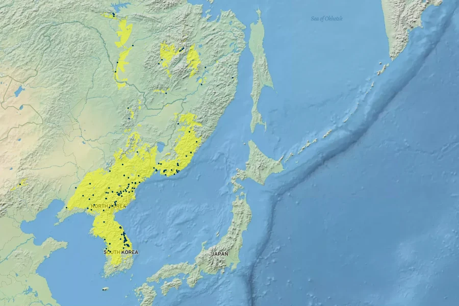 Prunus maackii Native Range