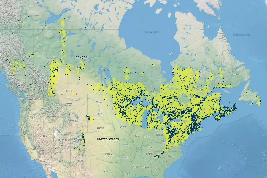 Prunus pensylvanica Native Range