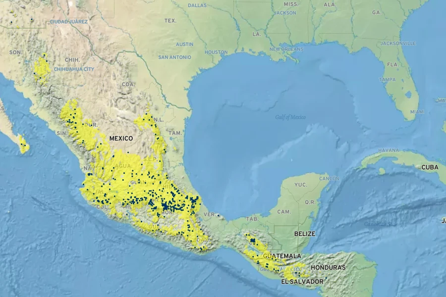 Prunus salicifolia Native Range