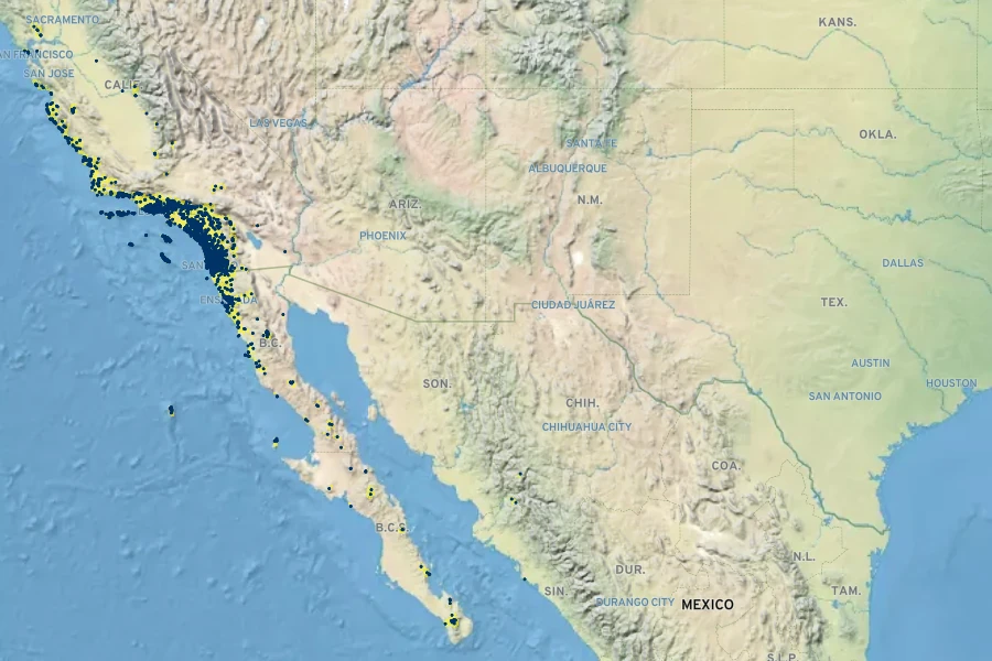 Pseudognaphalium biolettii Native Range