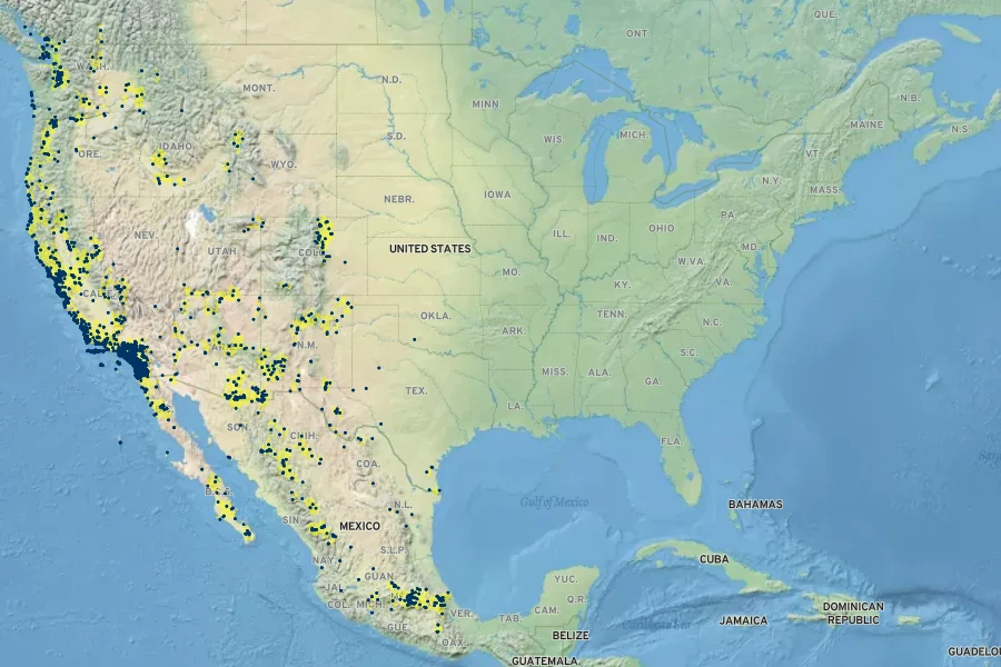 Pseudognaphalium stramineum Native Range