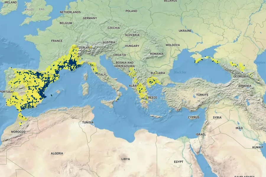 Pseudopodospermum hispanicum Native Range