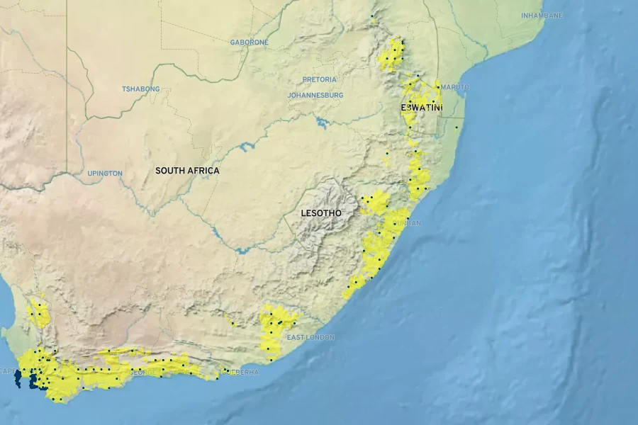 Psoralea pinnata Native Range