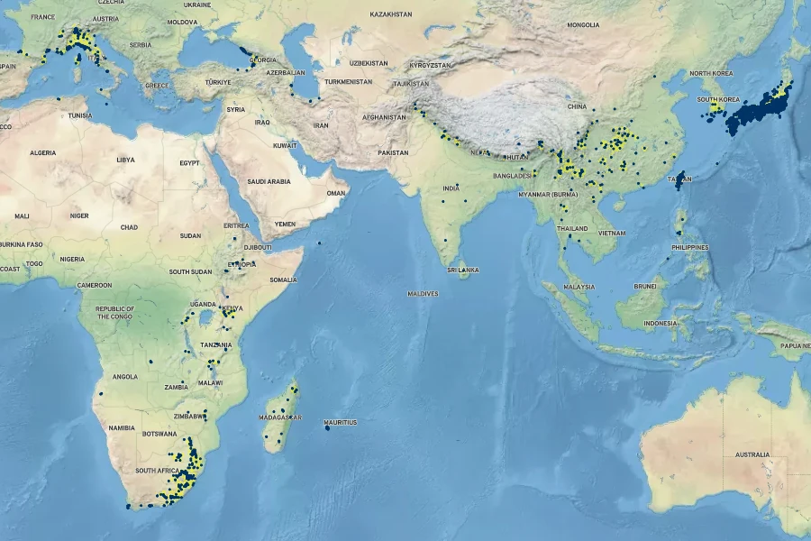 Pteris cretica Native Range