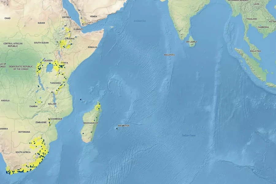 Pteris dentata Native Range