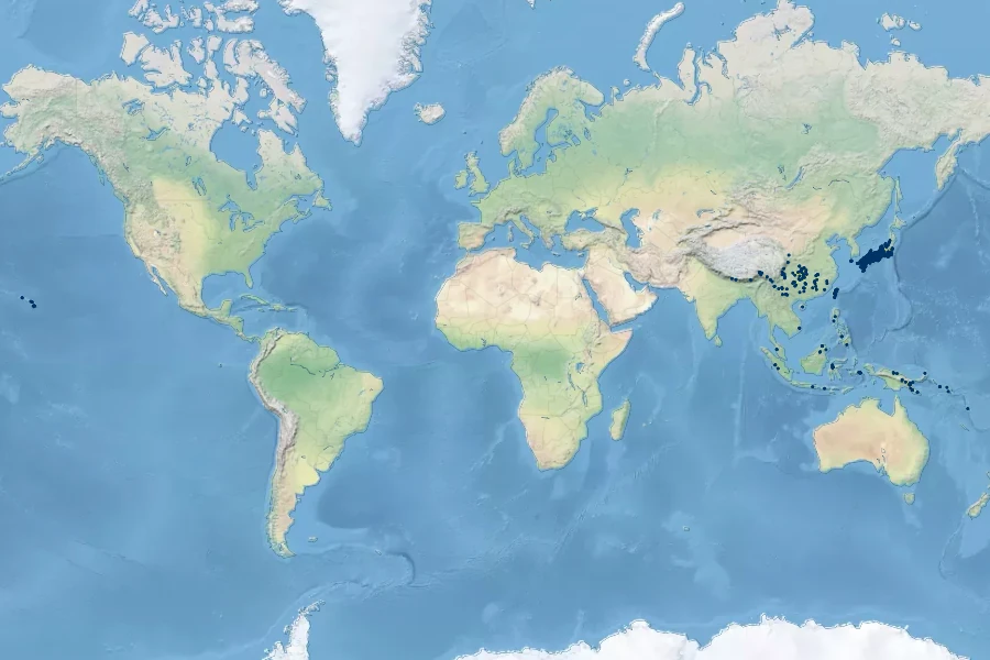 Pteris terminalis Native Range