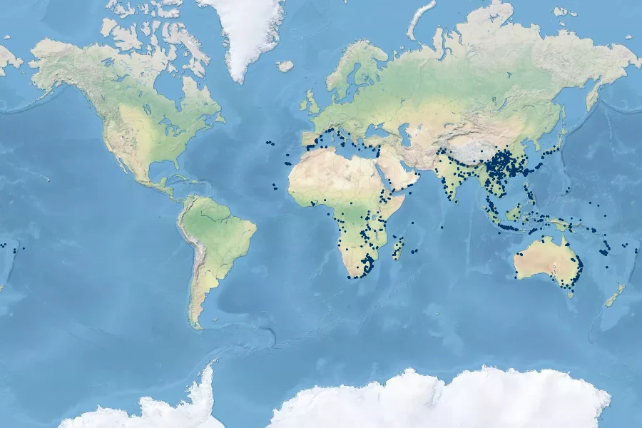 Pteris vittata Native Range