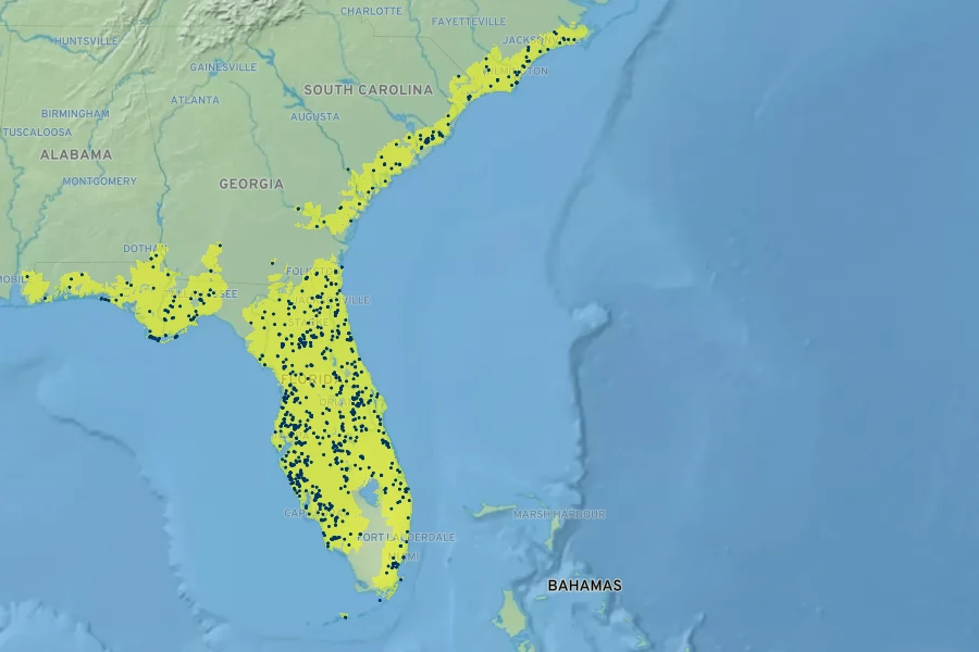 Pterocaulon pycnostachyum Native Range
