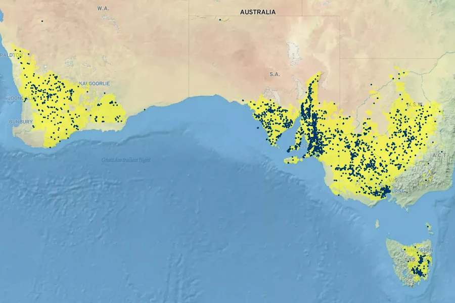 Ptilotus spathulatus Native Range