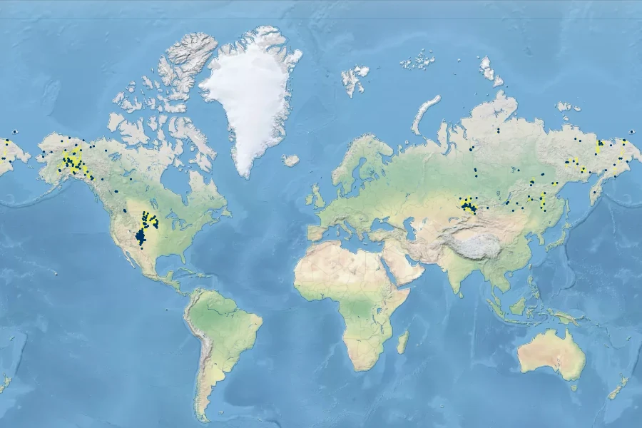 Pulsatilla multifida Native Range