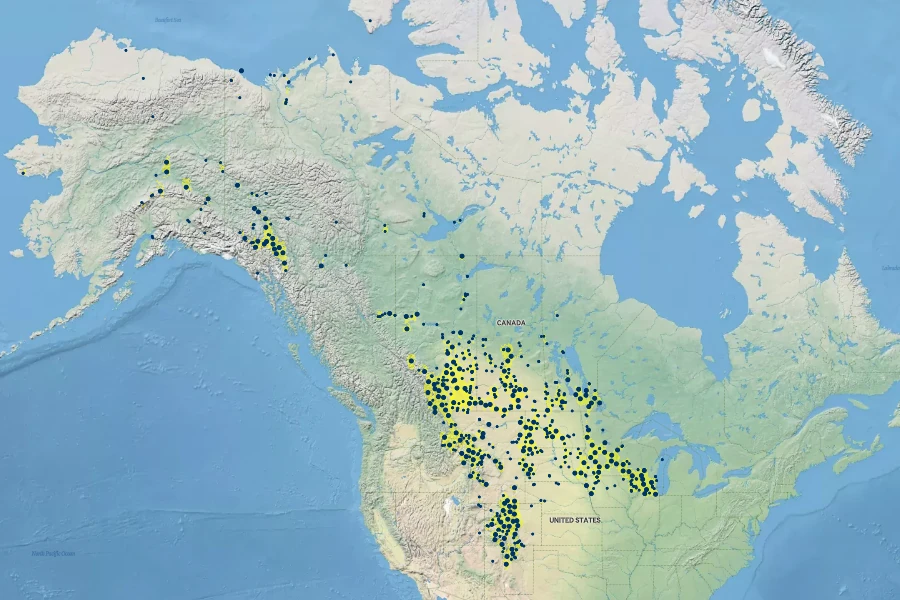 Pulsatilla nuttalliana Native Range