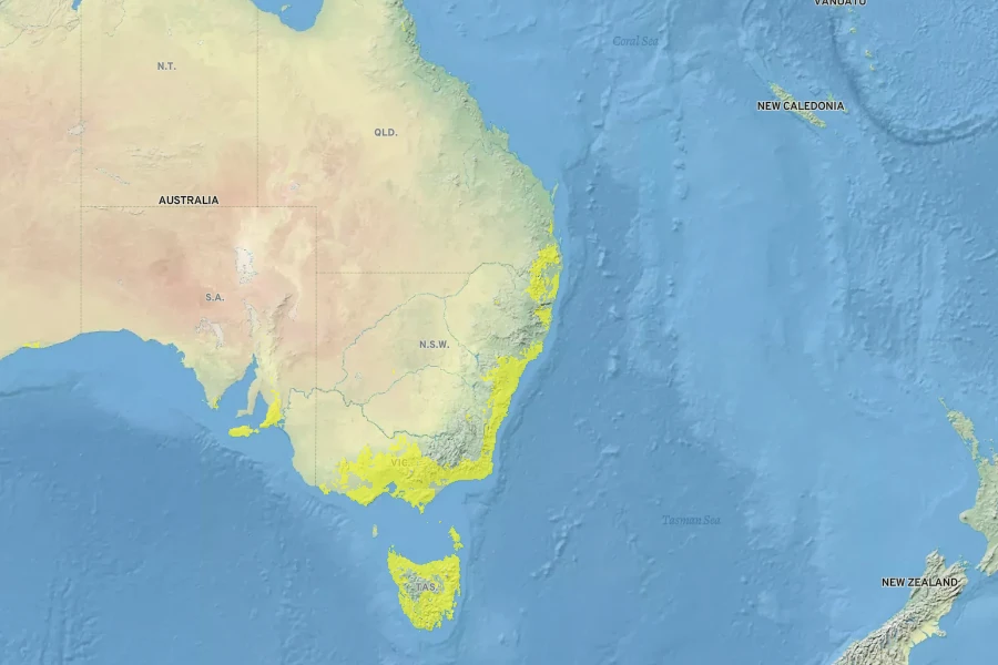 Pultenaea daphnoides Native Range