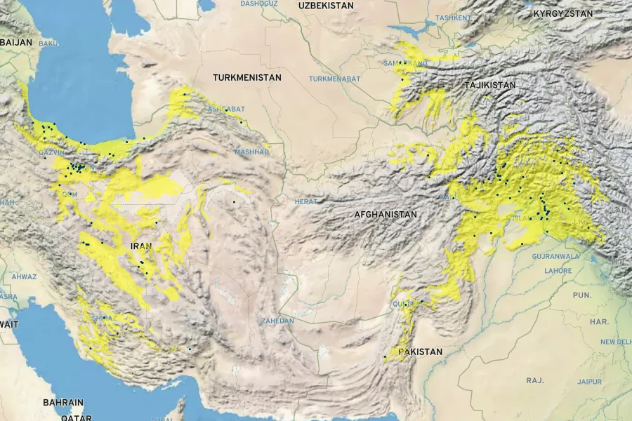 Punica granatum Native Range