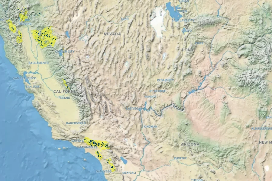 Pycnanthemum californicum Native Range