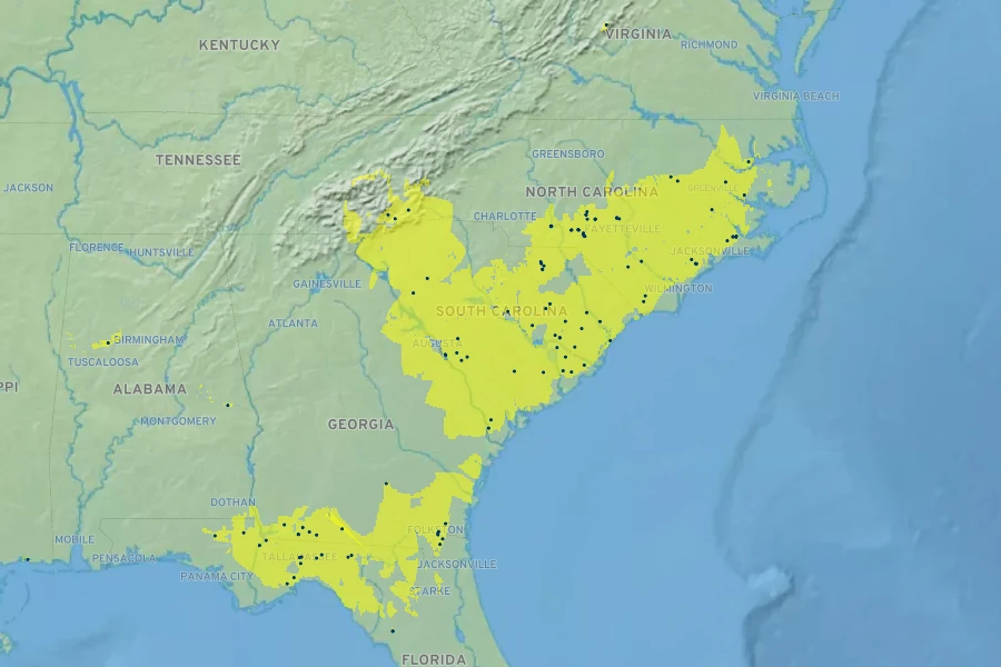 Pycnanthemum flexuosum Native Range