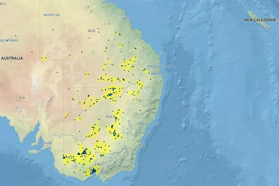 Pycnosorus chrysanthus Native Range