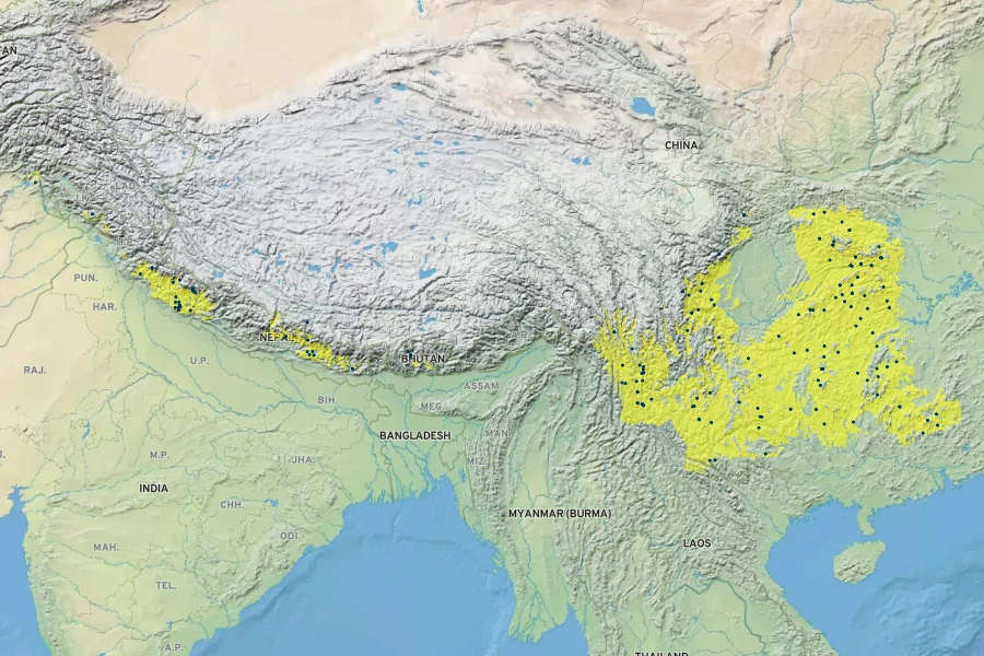 Pyracantha crenulata Native Range