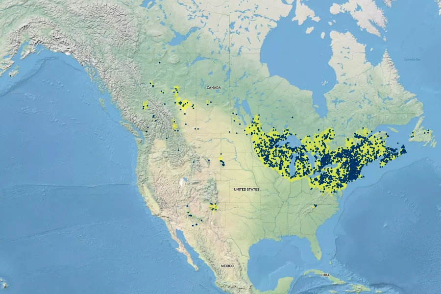 Pyrola elliptica Native Range