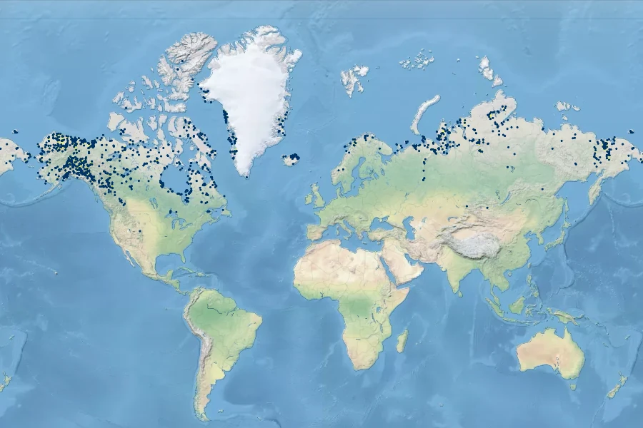 Pyrola grandiflora Native Range