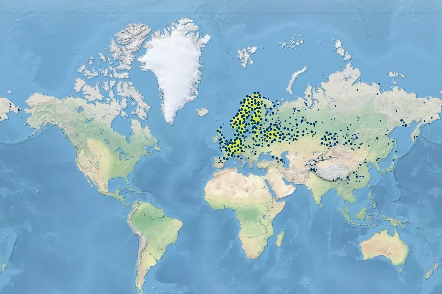 Pyrola rotundifolia Native Range