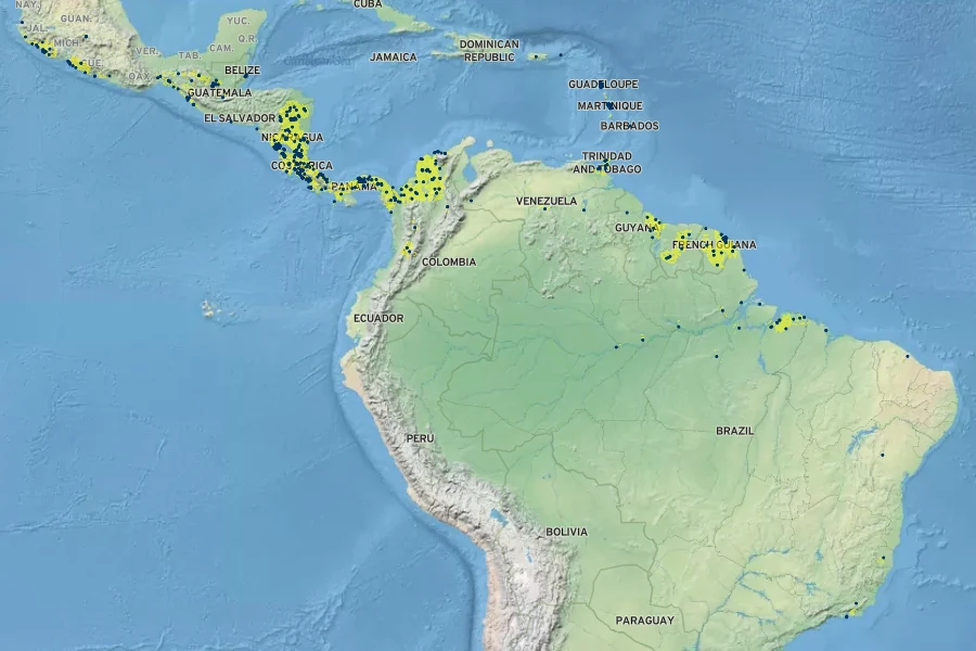 Quassia amara Native Range