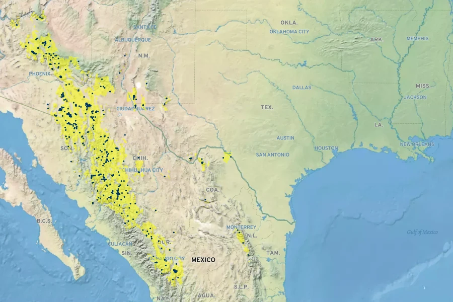 Quercus arizonica Native Range