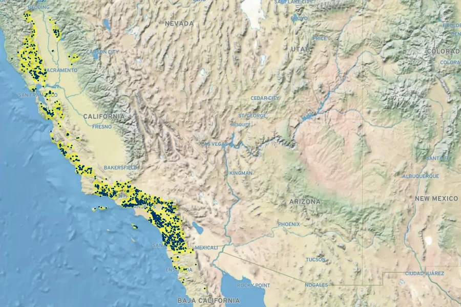 Quercus berberidifolia Native Range