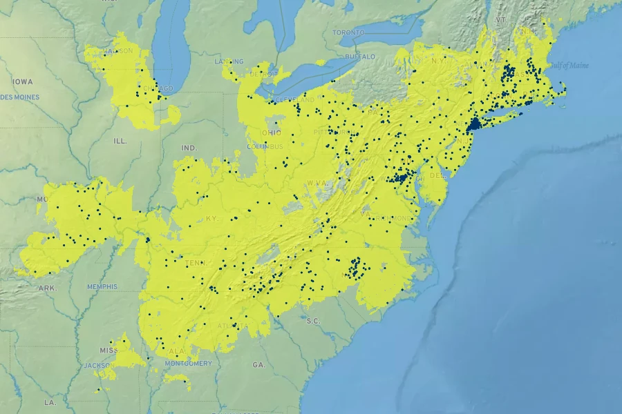 Quercus coccinea Native Range