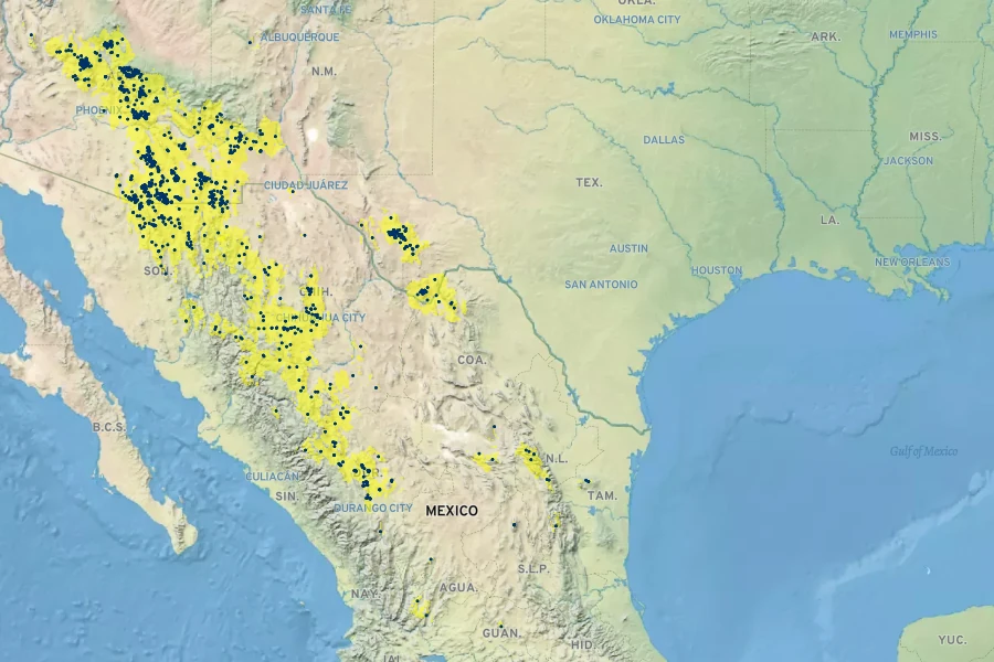 Quercus emoryi Native Range