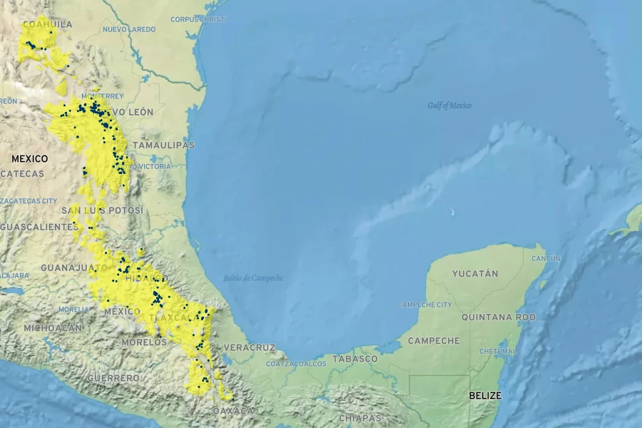 Quercus greggii Native Range