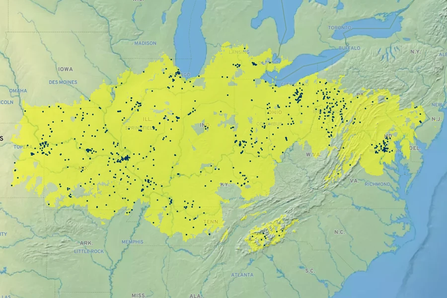 Quercus imbricaria Native Range