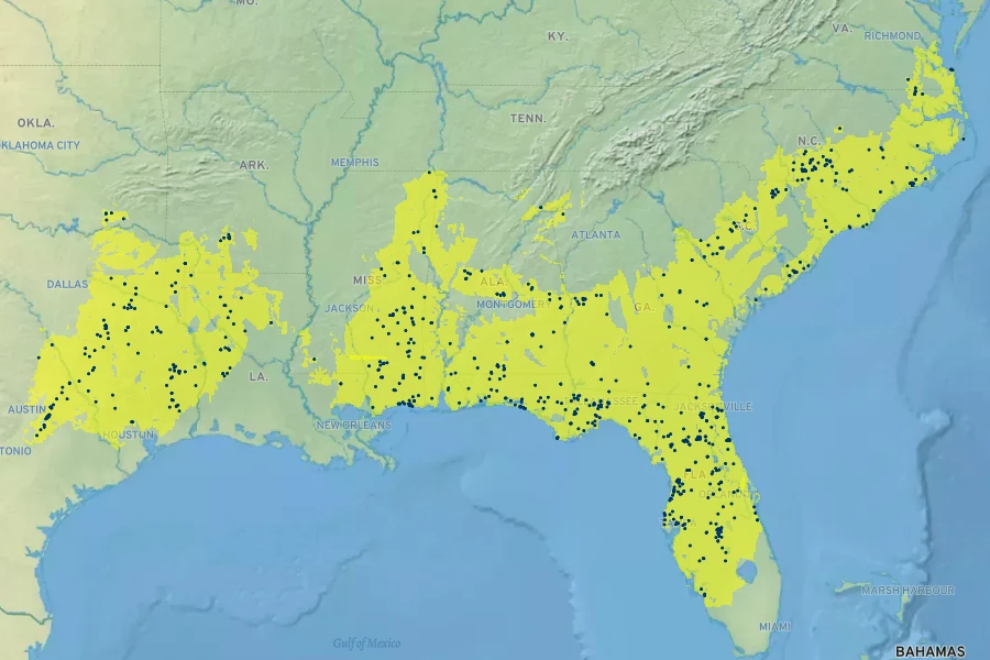Quercus incana Native Range