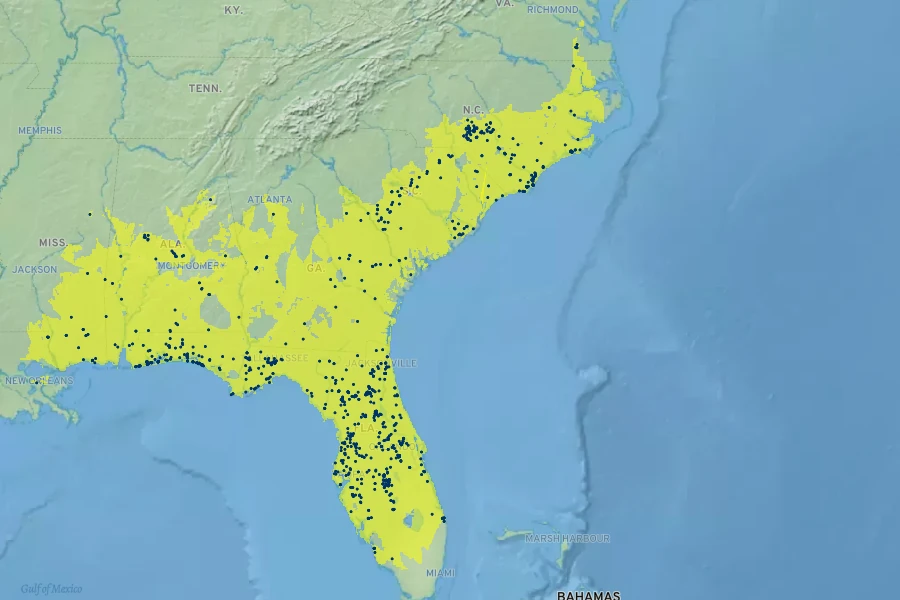 Quercus laevis Native Range