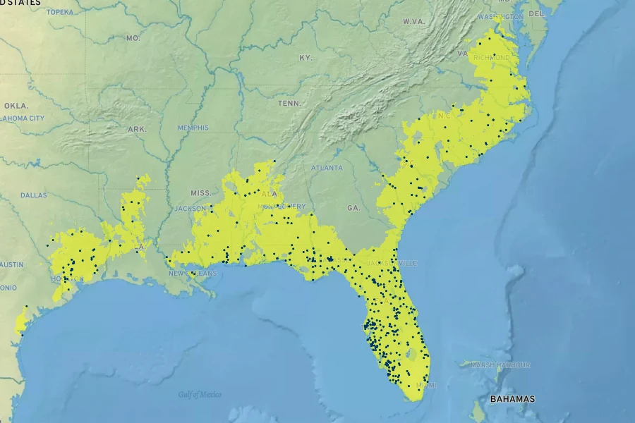 Quercus laurifolia Native Range