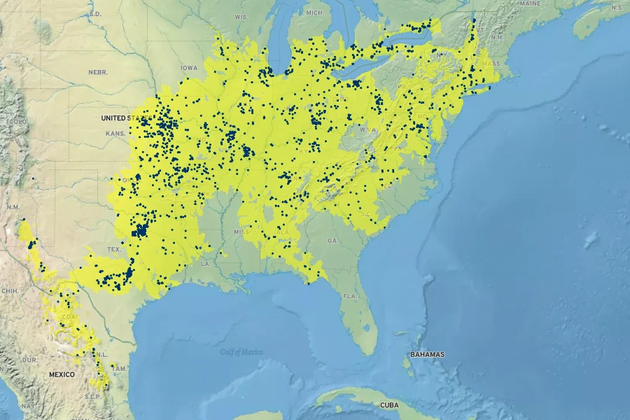 Quercus muehlenbergii Native Range