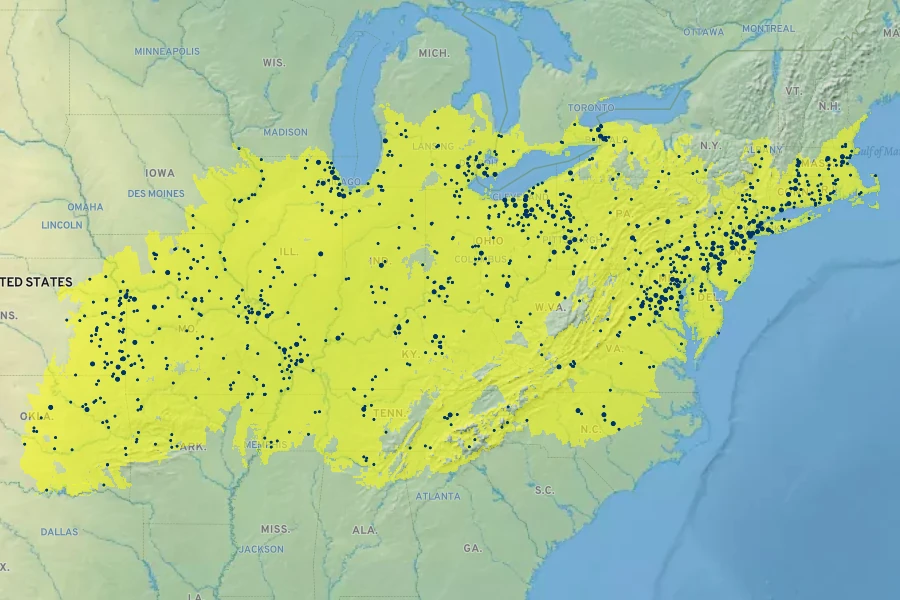Quercus palustris Native Range