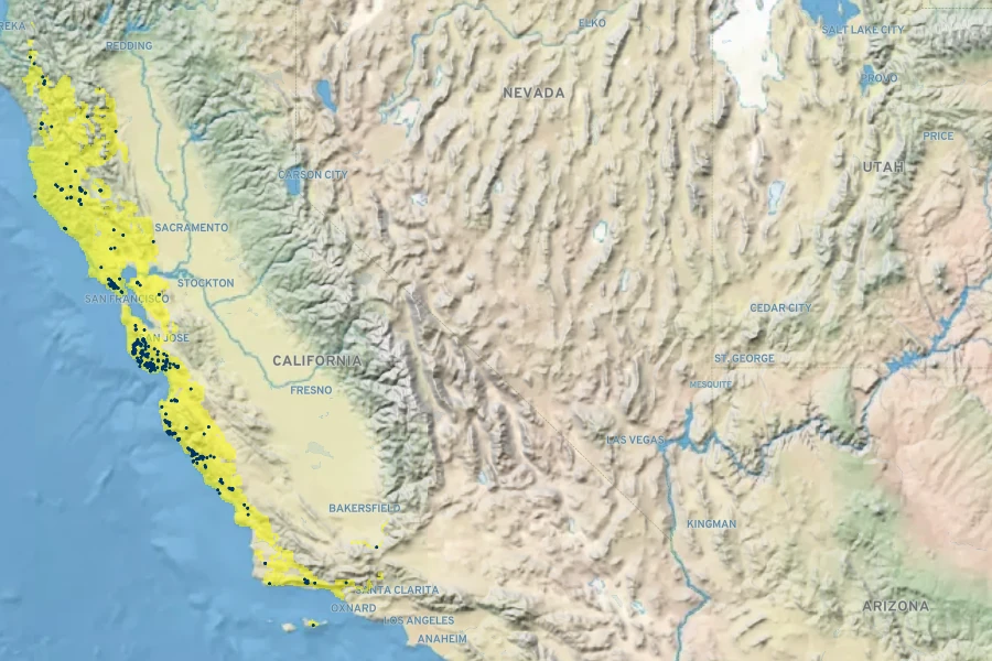 Quercus parvula var. shrevei Native Range