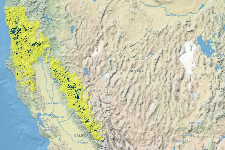 Quercus vacciniifolia Native Range