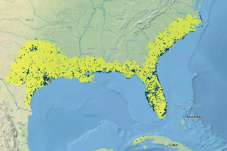 Quercus virginiana Native Range