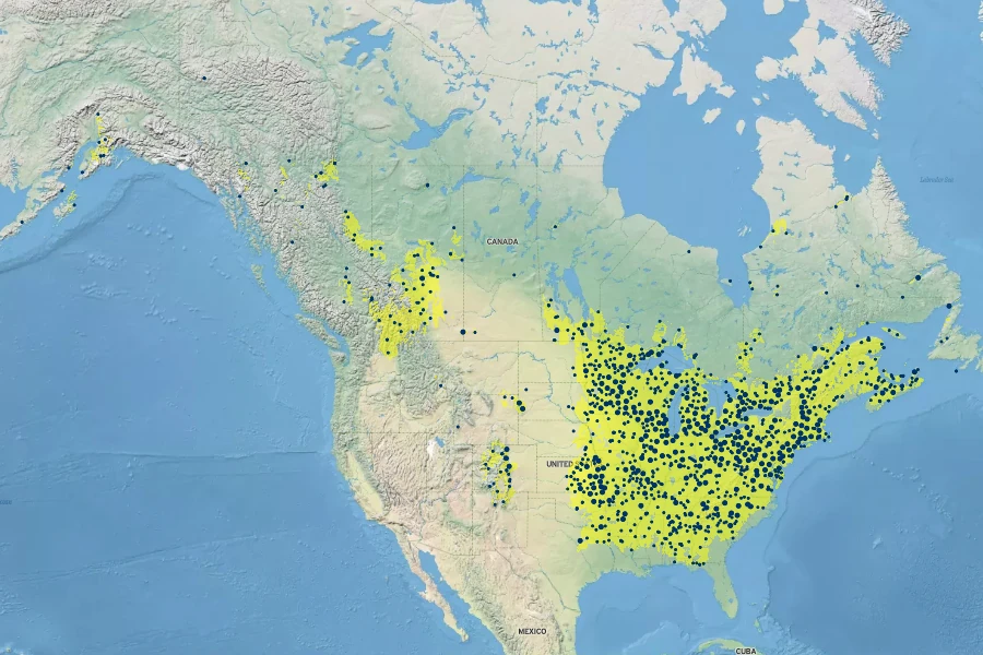 Ranunculus abortivus Native Range